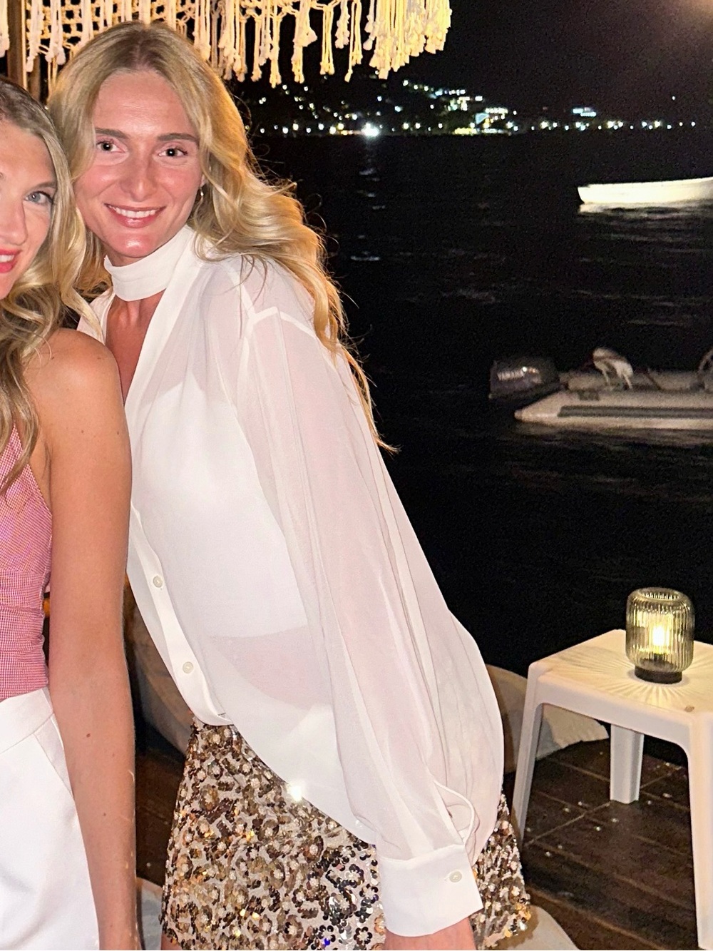 Aritzia sheer top